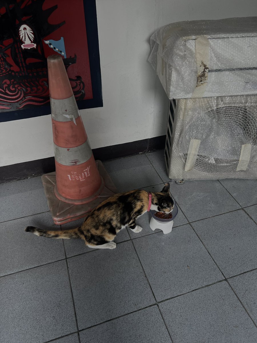 jeáne 𓇻𓂂𓏸 tweet media