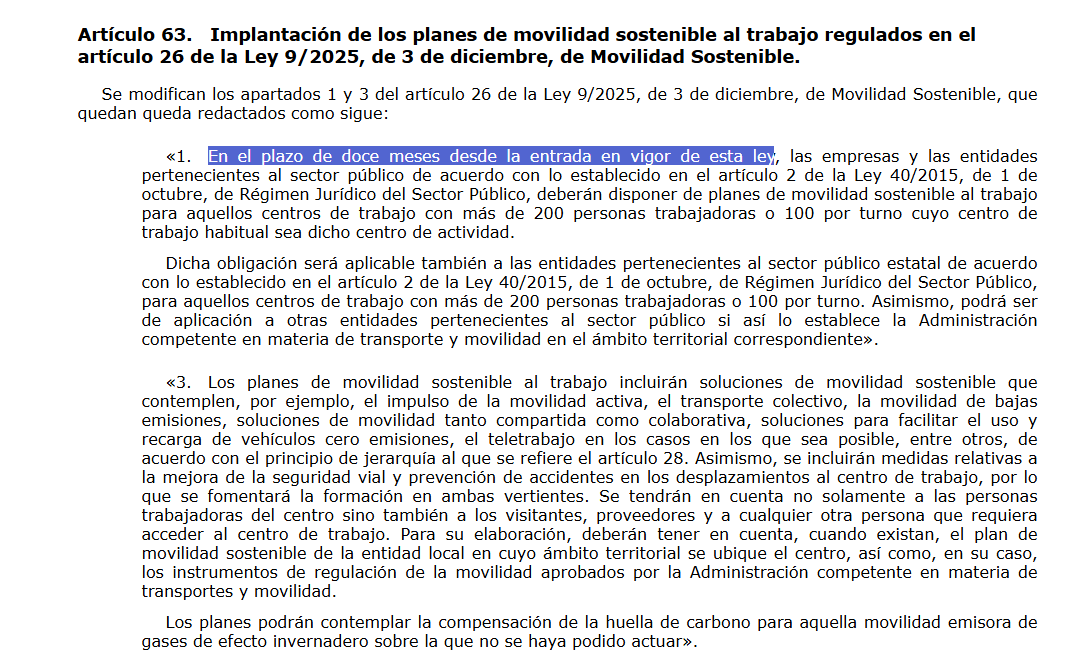 Estela Martín💚 tweet media