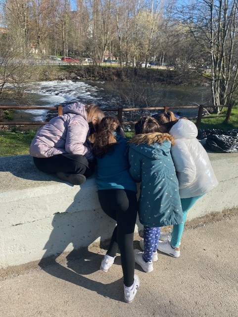 CEIP Claudio Sánchez Albornoz tweet media