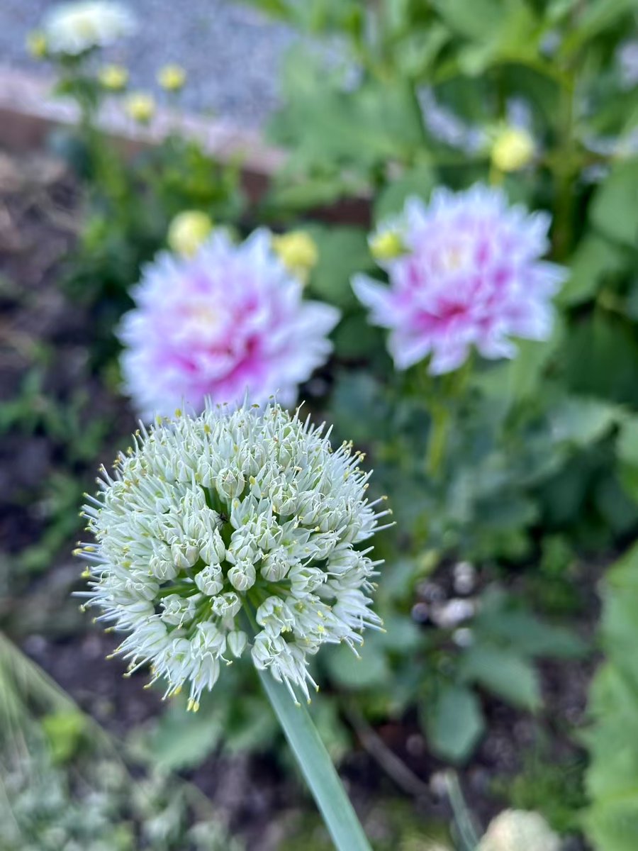 Helena Mary Box tweet media