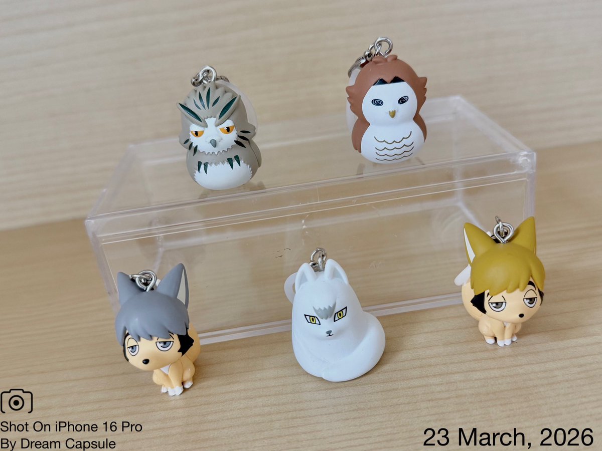 ドリームカプセルの中の人【公式】 tweet media