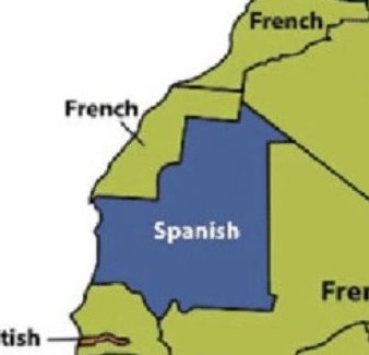 𝑁𝑖𝑣𝑒𝑘 🟡🟣 tweet media