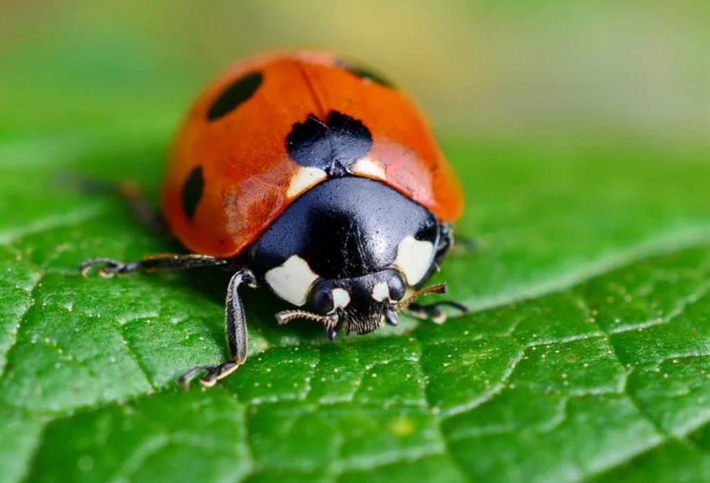 The potting shed tweet media