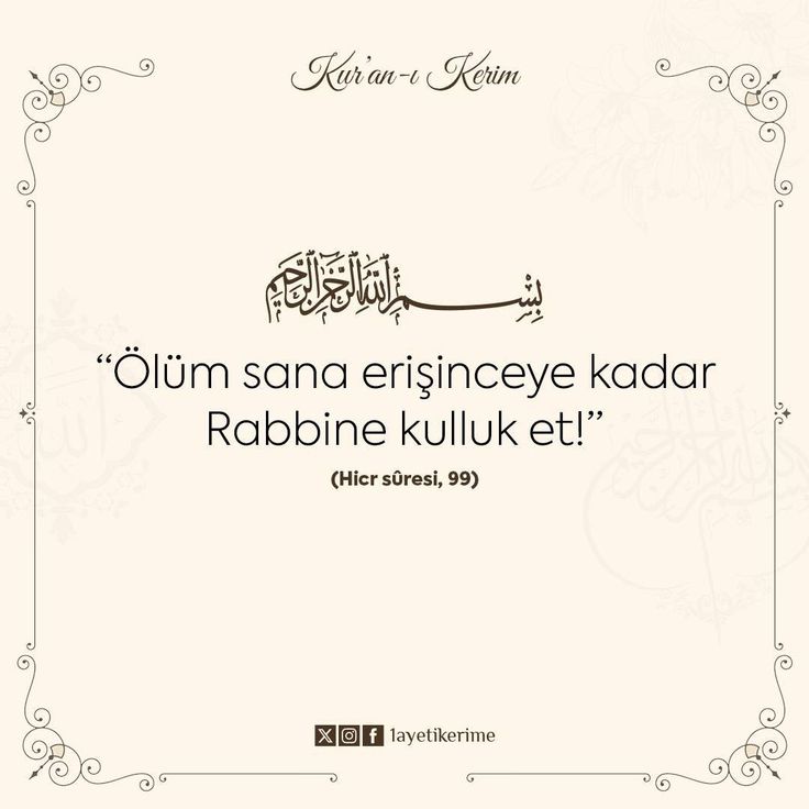 Mütevazi🕊️ tweet media