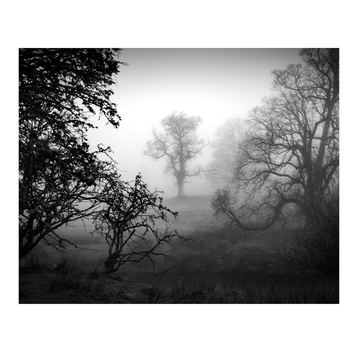 Dylan Nardini tweet media