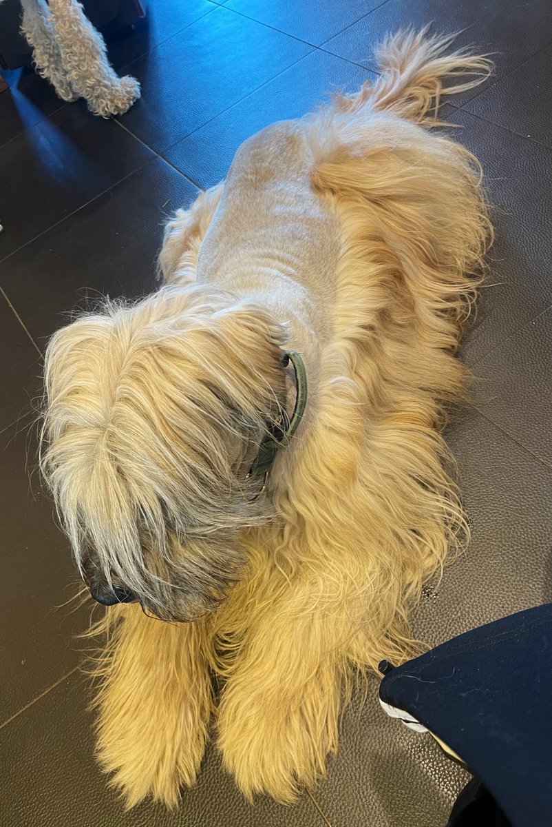 푸순 엄마 tweet media