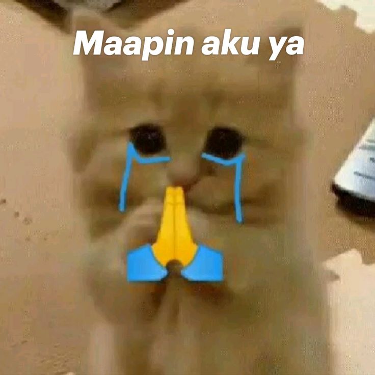 𝑷𝒓𝒊𝒎𝒓𝒐𝒔𝒆 on Hiatus. tweet media