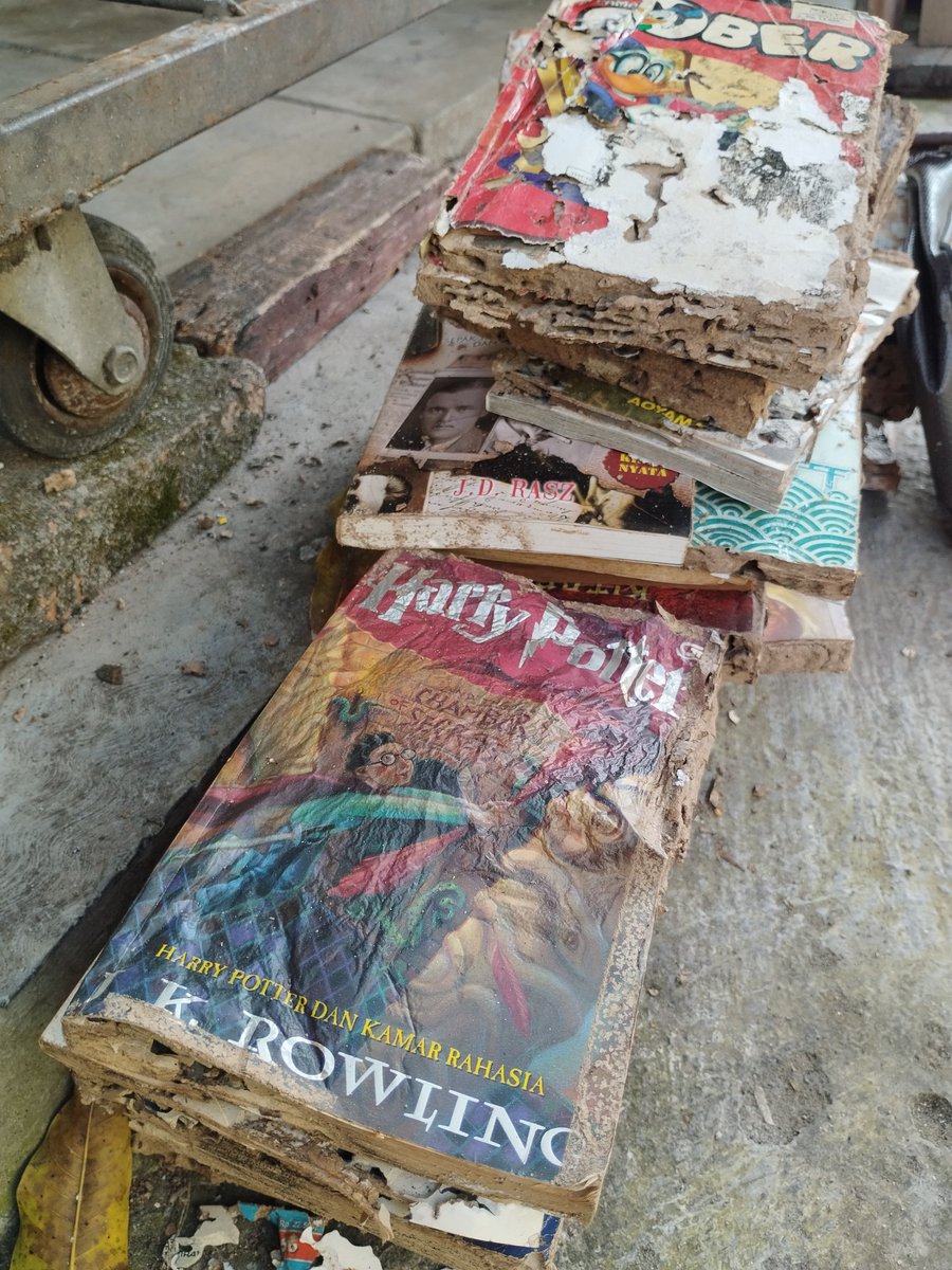 インプレゾンビじゃない tweet media