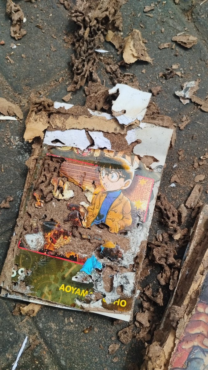 インプレゾンビじゃない tweet media