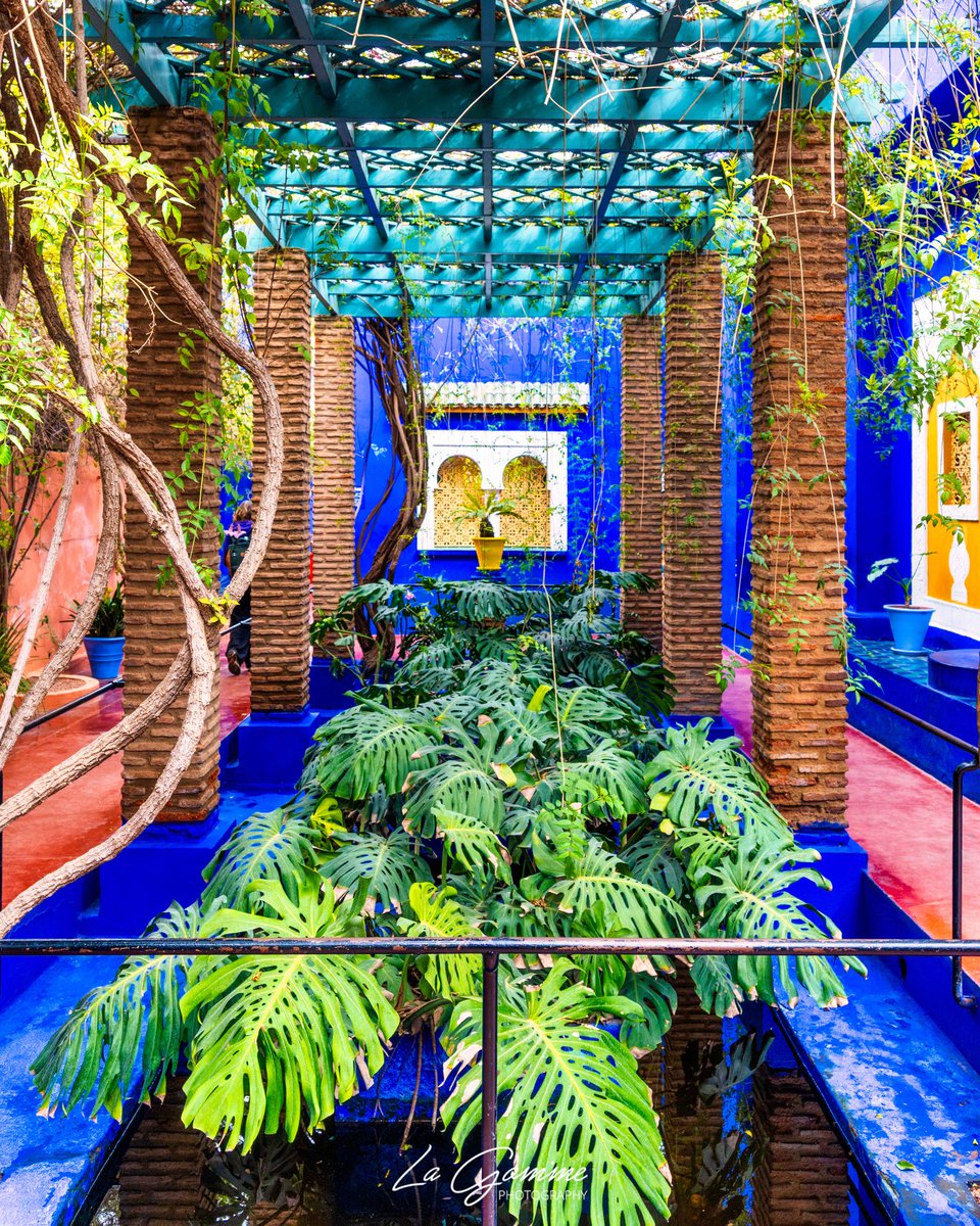 La_Gomme's tweet photo. Blue vibes only. 🌵 Le contraste parfait entre l'ocre de la terre et ce bleu électrique légendaire. Une étape incontournable, n'est-ce pas ?

#JardinMajorelle #Marrakech #Morocco #MajorelleBlue #VisitMorocco #Maroc #ArchitectureLovers #YvesSaintLaurent https://t.co/L30DrrJrx4