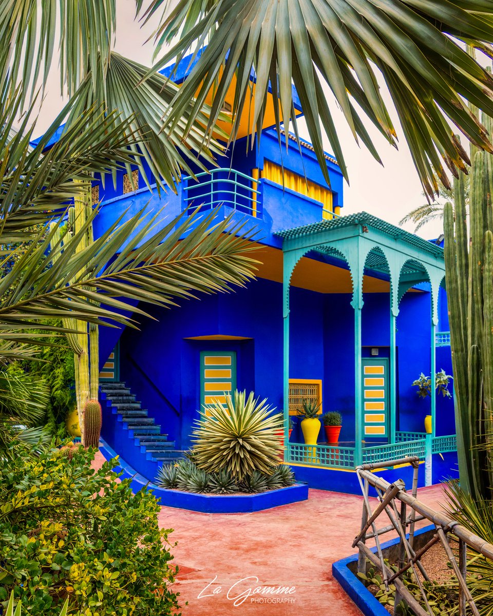 La_Gomme's tweet photo. Blue vibes only. 🌵 Le contraste parfait entre l'ocre de la terre et ce bleu électrique légendaire. Une étape incontournable, n'est-ce pas ?

#JardinMajorelle #Marrakech #Morocco #MajorelleBlue #VisitMorocco #Maroc #ArchitectureLovers #YvesSaintLaurent https://t.co/L30DrrJrx4