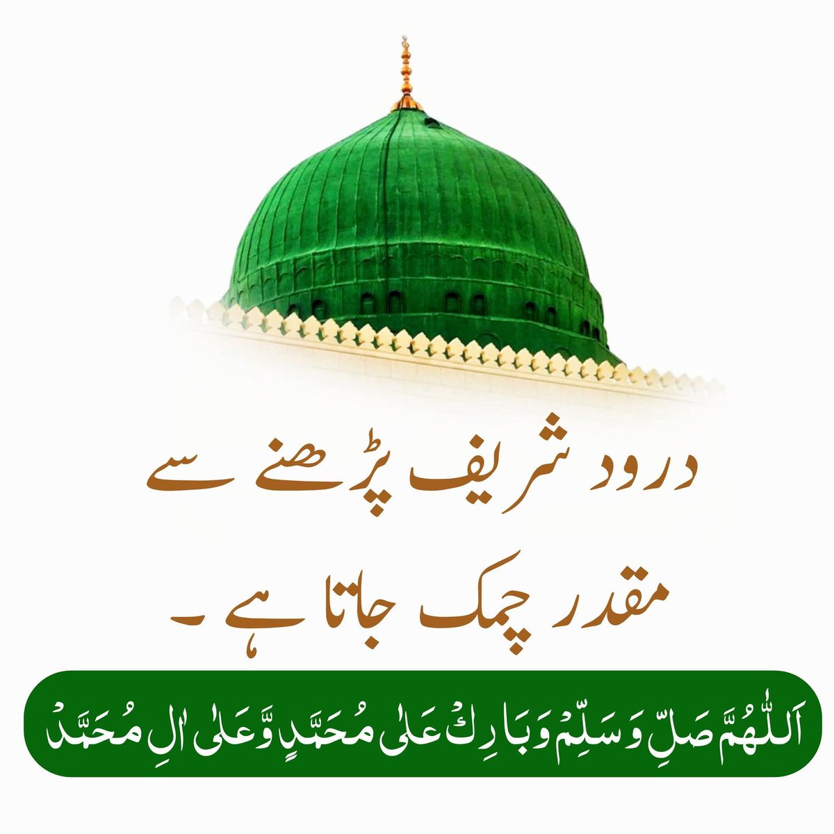 🇵🇰 عین tweet media