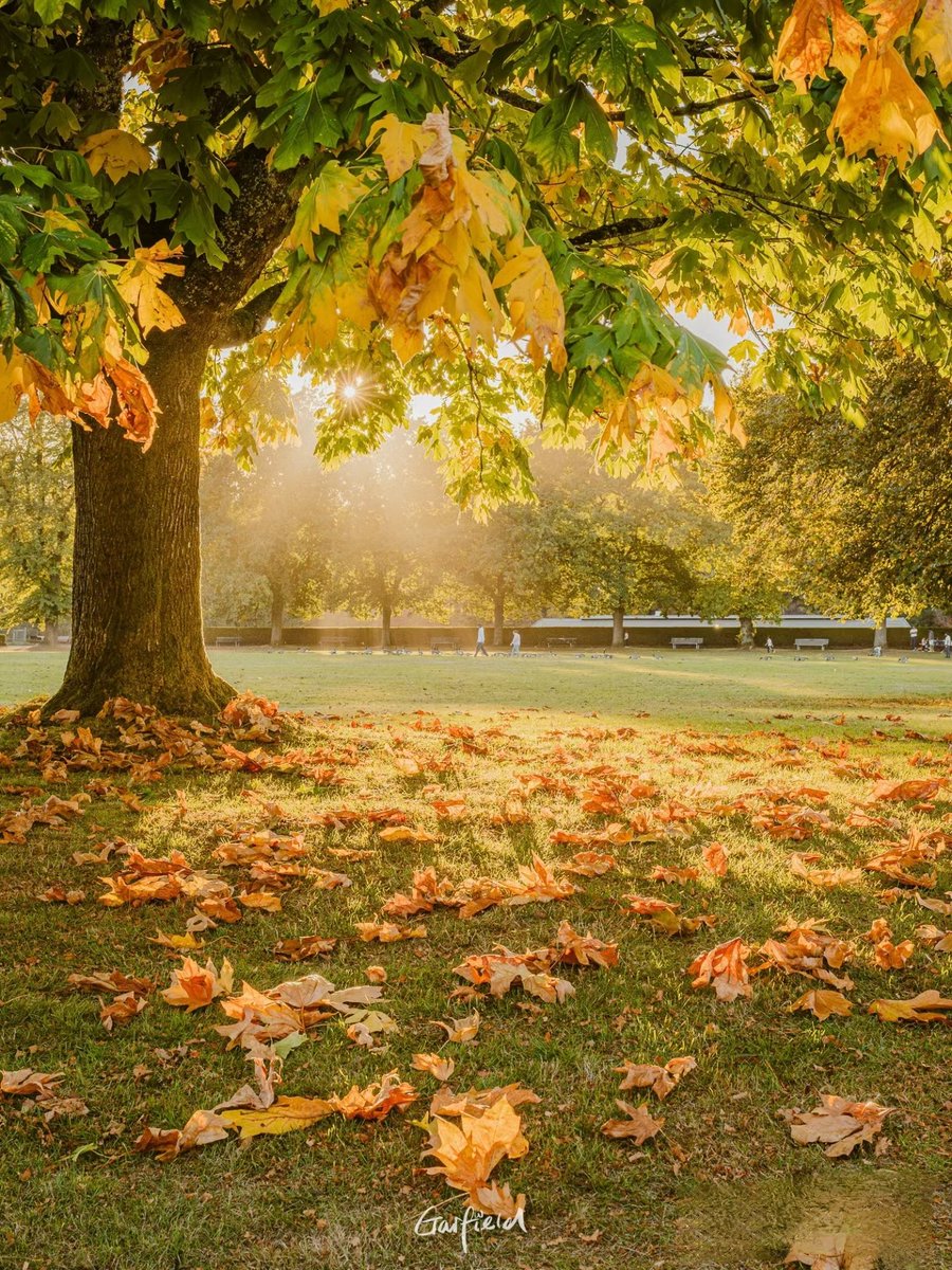 Randall Marshall tweet media