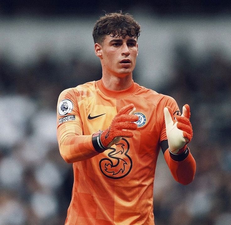 ScreenTouch tweet media