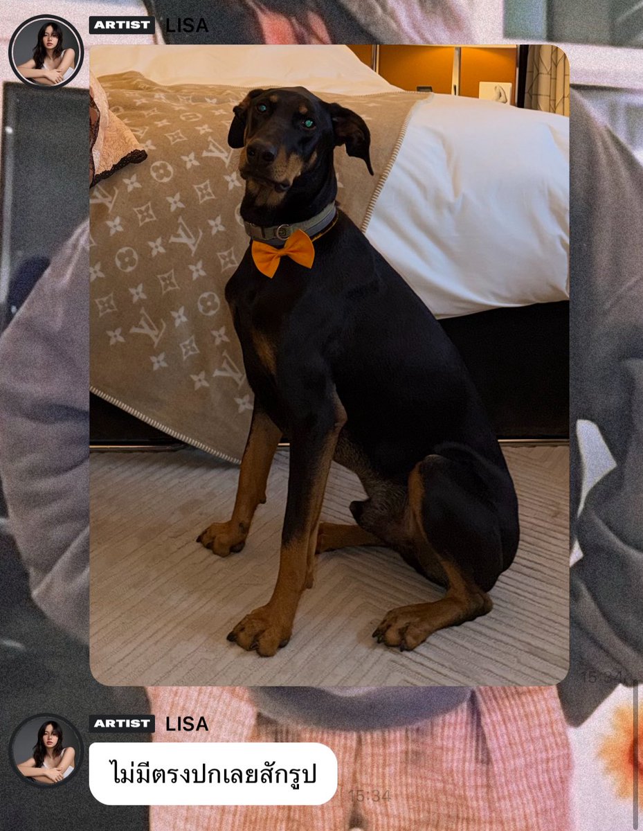 ʟɪ⁺¹⁹⁹⁵ : tweet media