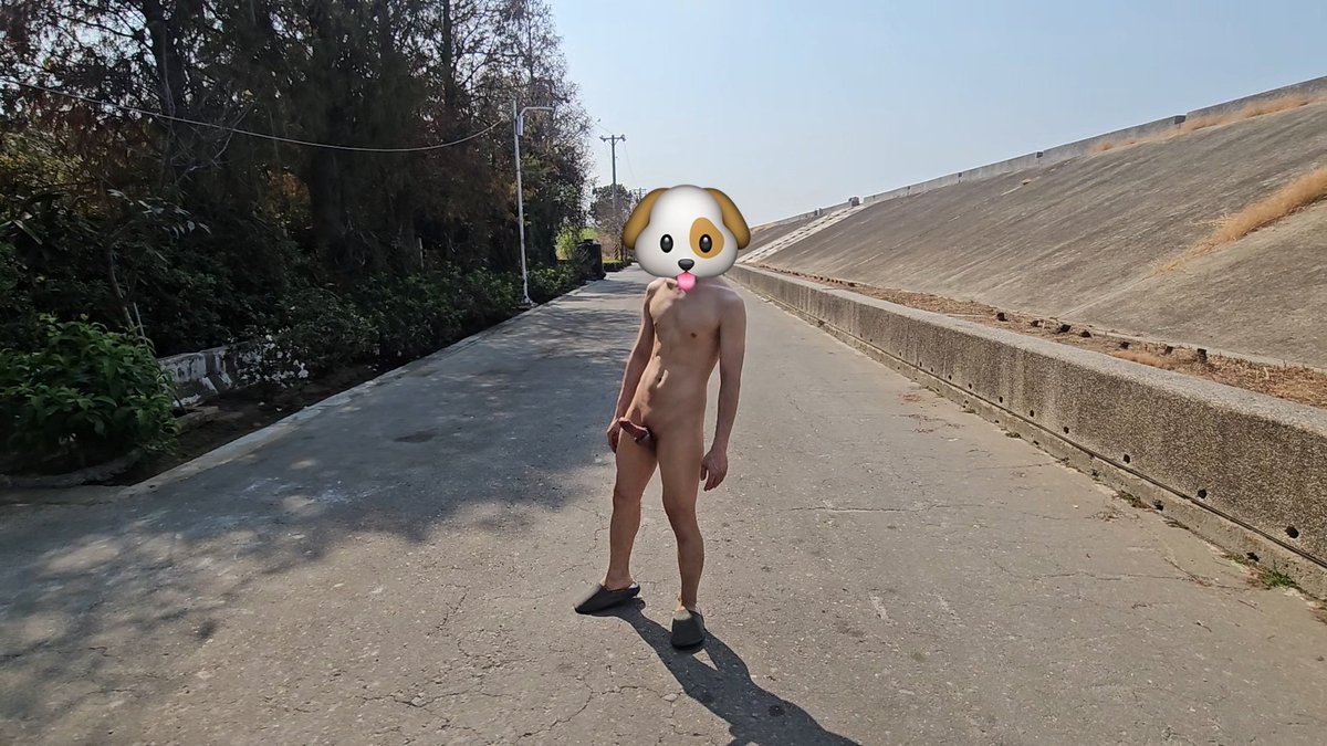 不愛穿衣 tweet media