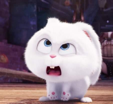 thinking about sanha tweet media