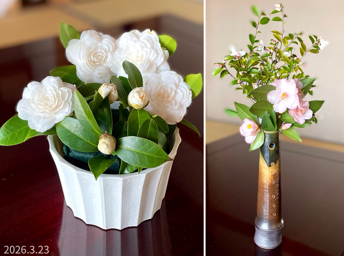 ぐらんま✨光のおばあちゃん tweet media