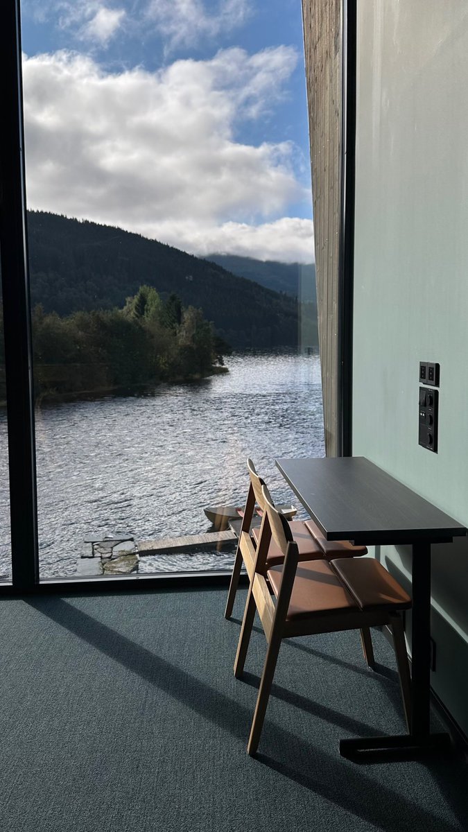 sky alsharif tweet media