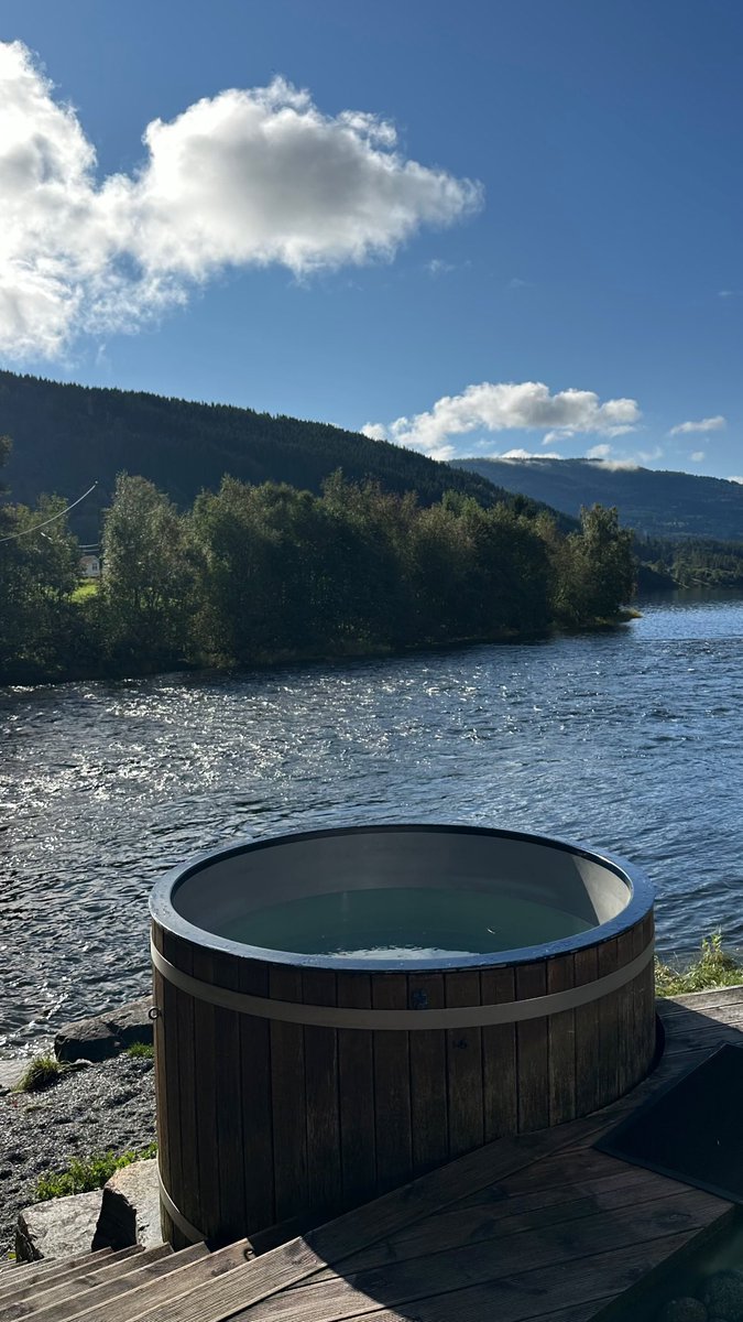 sky alsharif tweet media