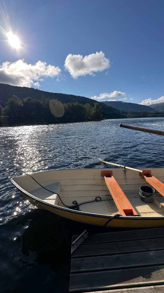 sky alsharif tweet media