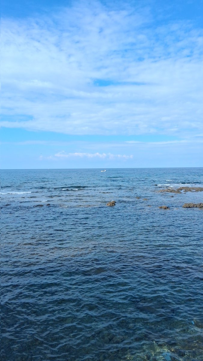 ΜΔŁỮ  ♡★♡  ⚪⚫ tweet media