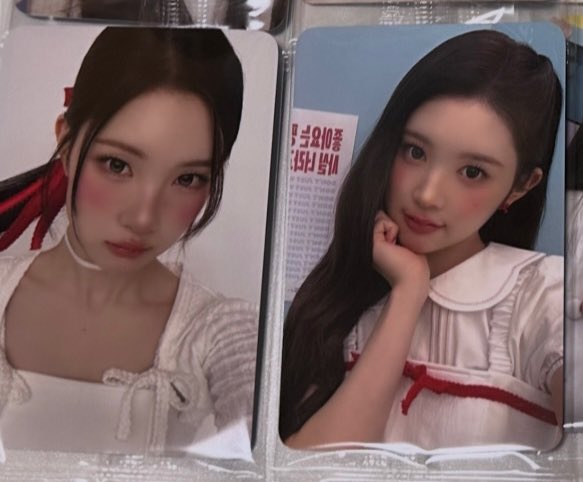 P0Bvr's tweet photo. @kdrama25 初めまして、検索より失礼いたします。
エイナちゃん所持しているのですが、同種のステラちゃんと交換可能でしょうか？
ご検討いただけますと幸いです🙇🏻‍♀️ https://t.co/kMvHVRkGli