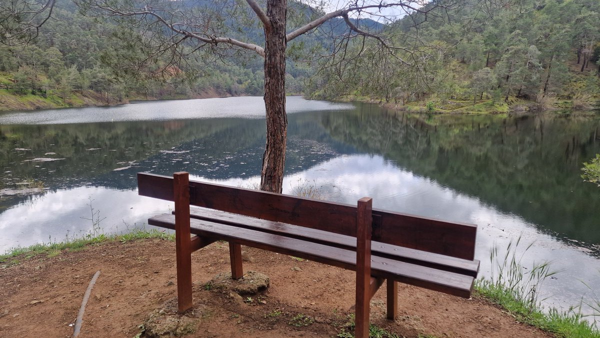 CRF1100 ATAS CYP tweet media