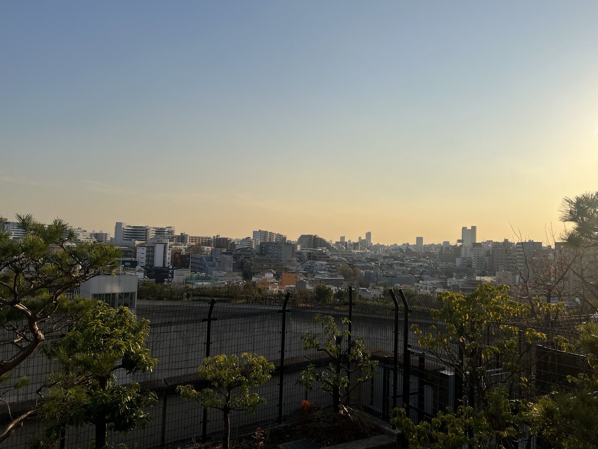 Luciano DeAngelo tweet media