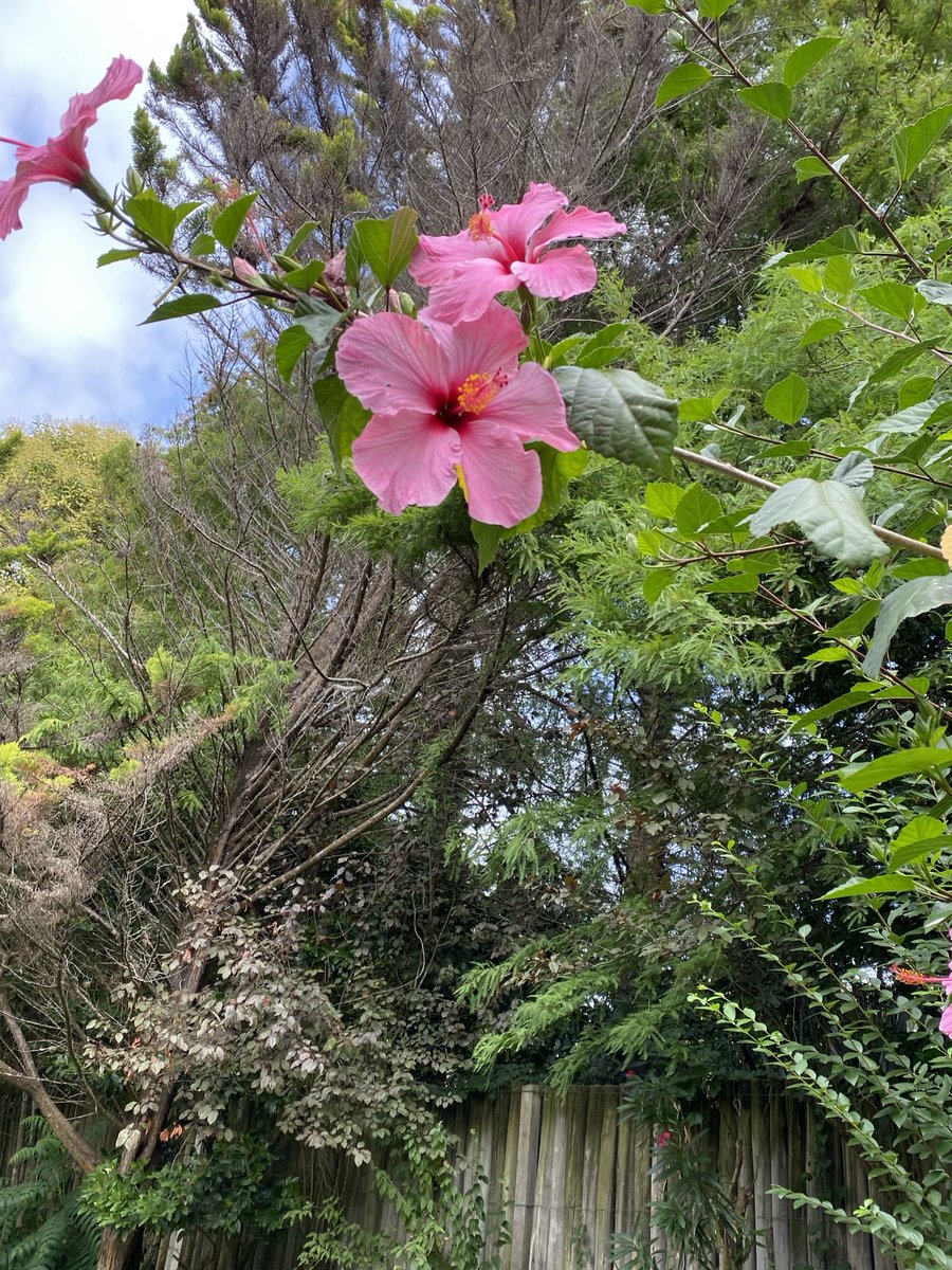 Marta Dobal tweet media