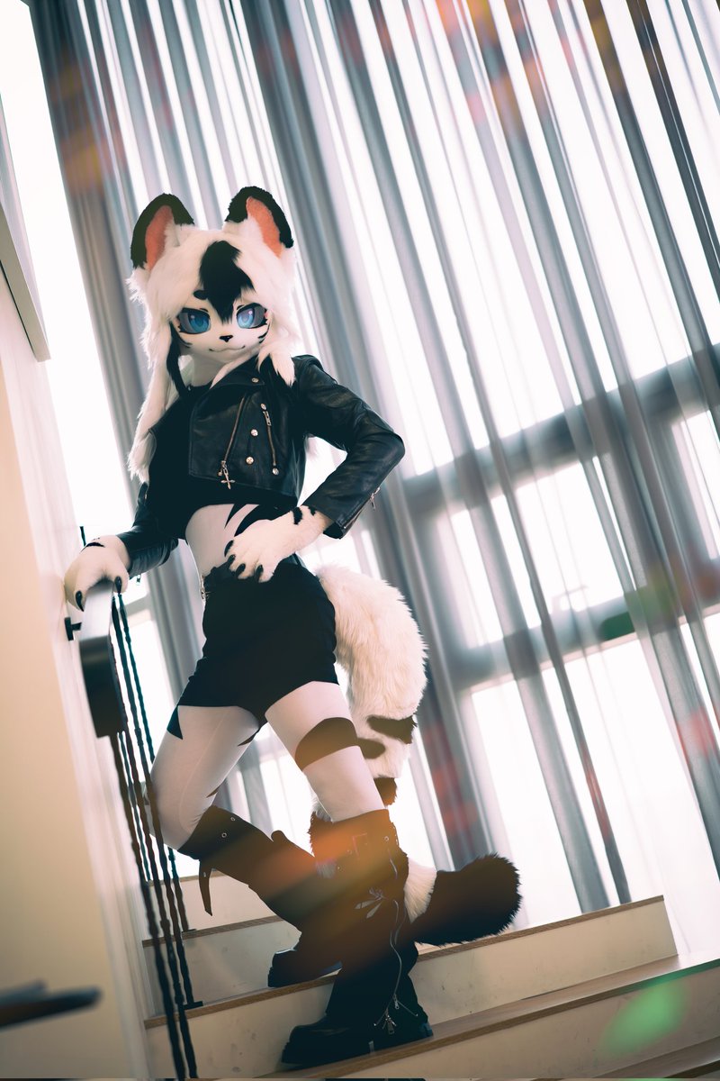 레호Rehoレホ tweet media