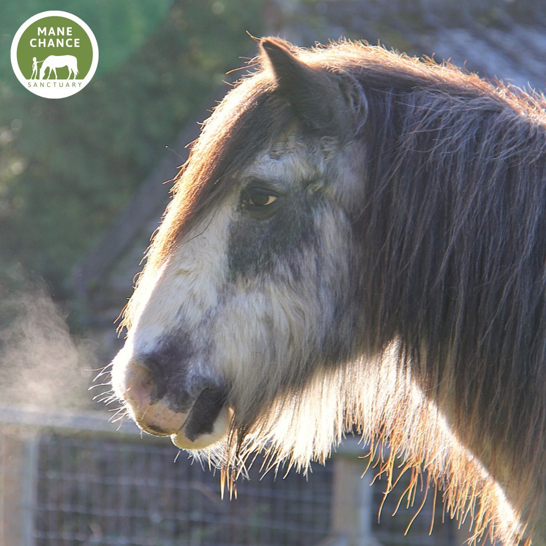 Mane Chance tweet media