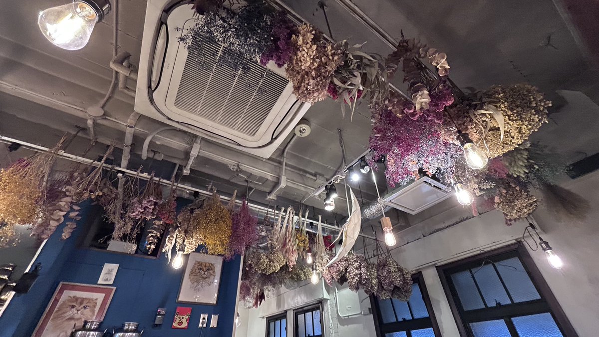 🈂️ちゃん tweet media