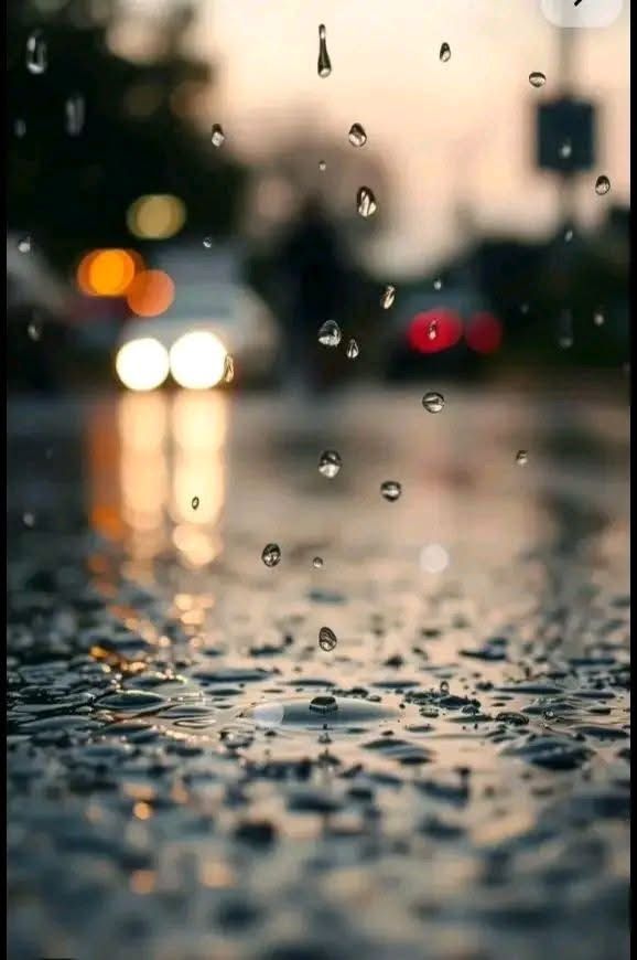 بديع الكلامAlfazari k tweet media