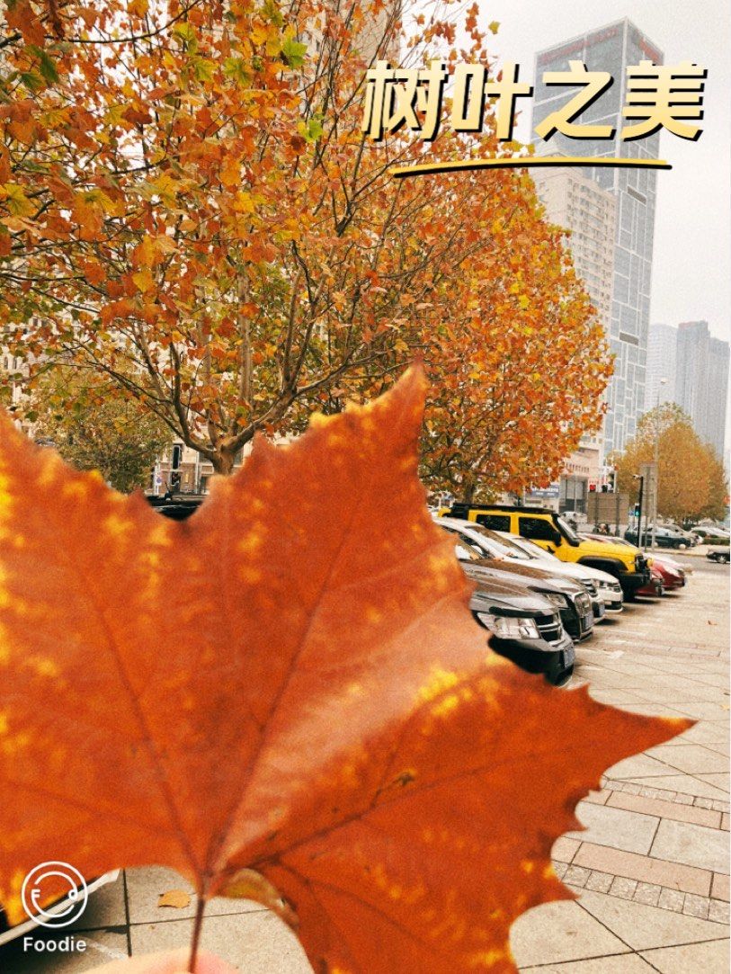 Ruby Angel tweet media