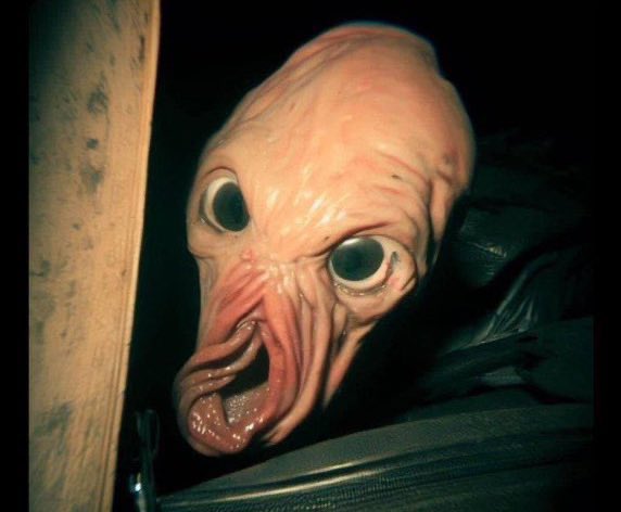 Anonymous_iBoy tweet media