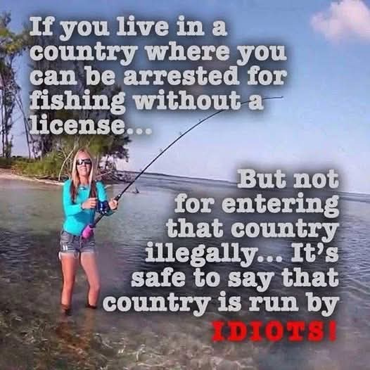 Patsyann🐾🐾🐈🍒 tweet media