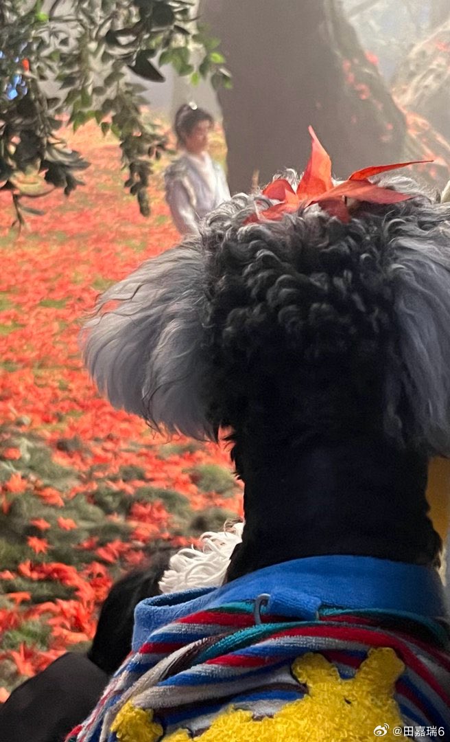 ธิติ 10% 🪫❤️‍🔥 tweet media