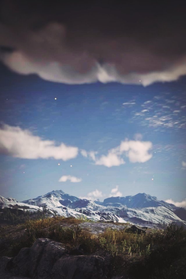 DANIEL tweet media