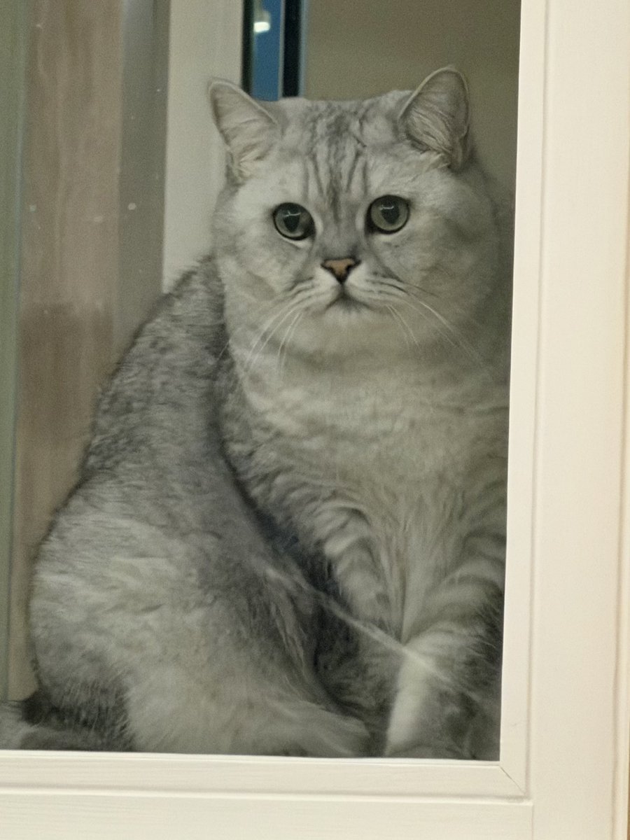 ʟɪ⁺¹⁹⁹⁵ : tweet media