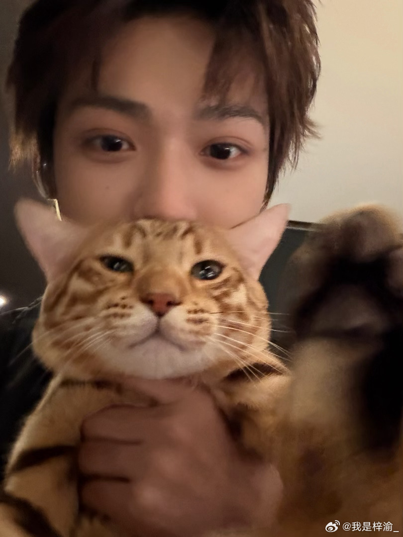 밋콩🫛 tweet media