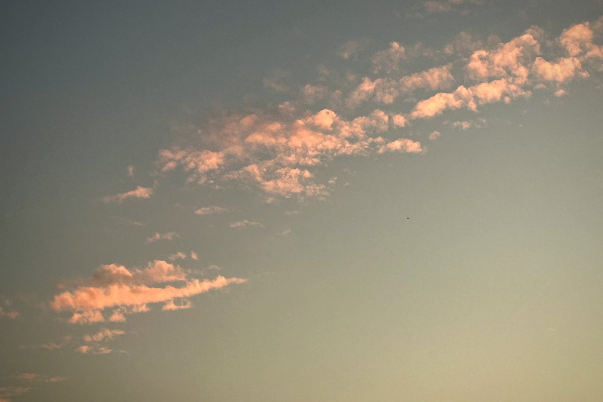 ๐ ๐ ๐๐ซ๐๐ญ๐ญ tweet media