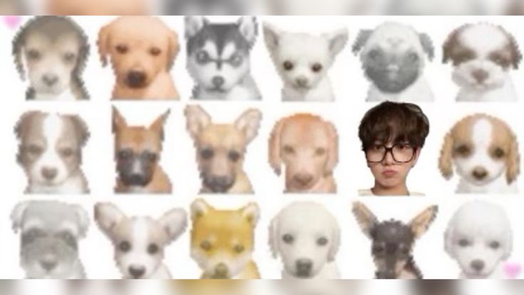 바닐라얼그레이라떼 tweet media