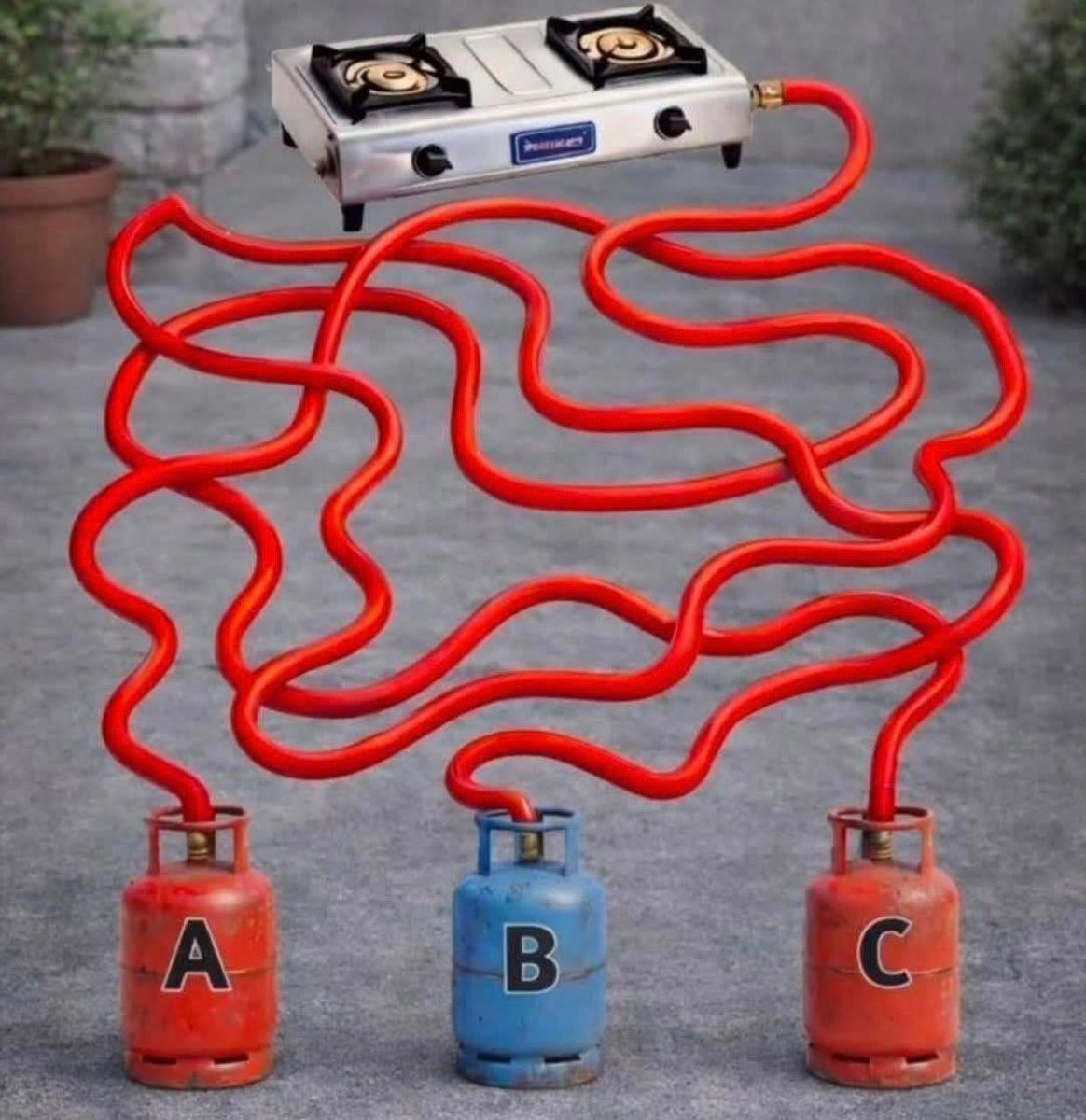 Brain IQ Test tweet media