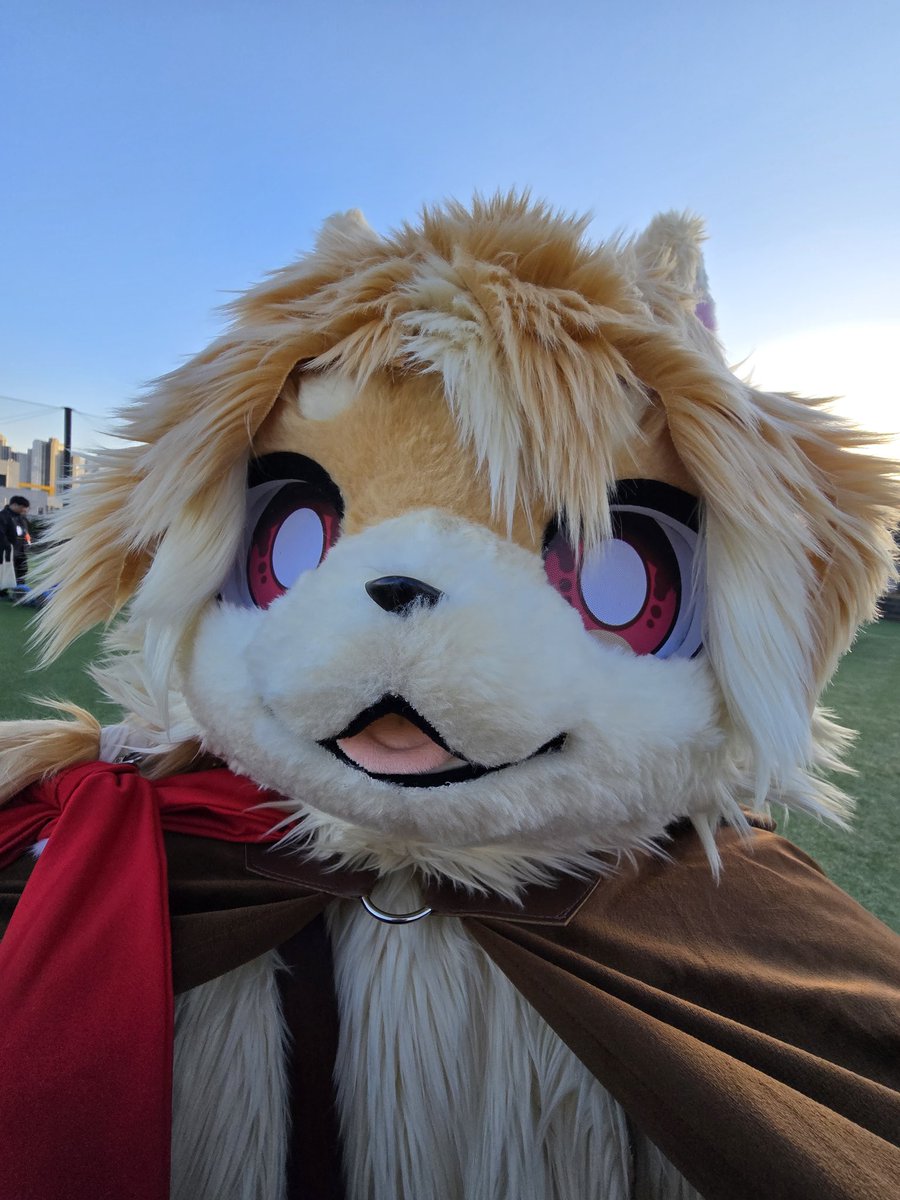 개좋은 빛살구 🔜 FURSTCLASS(sun) tweet media