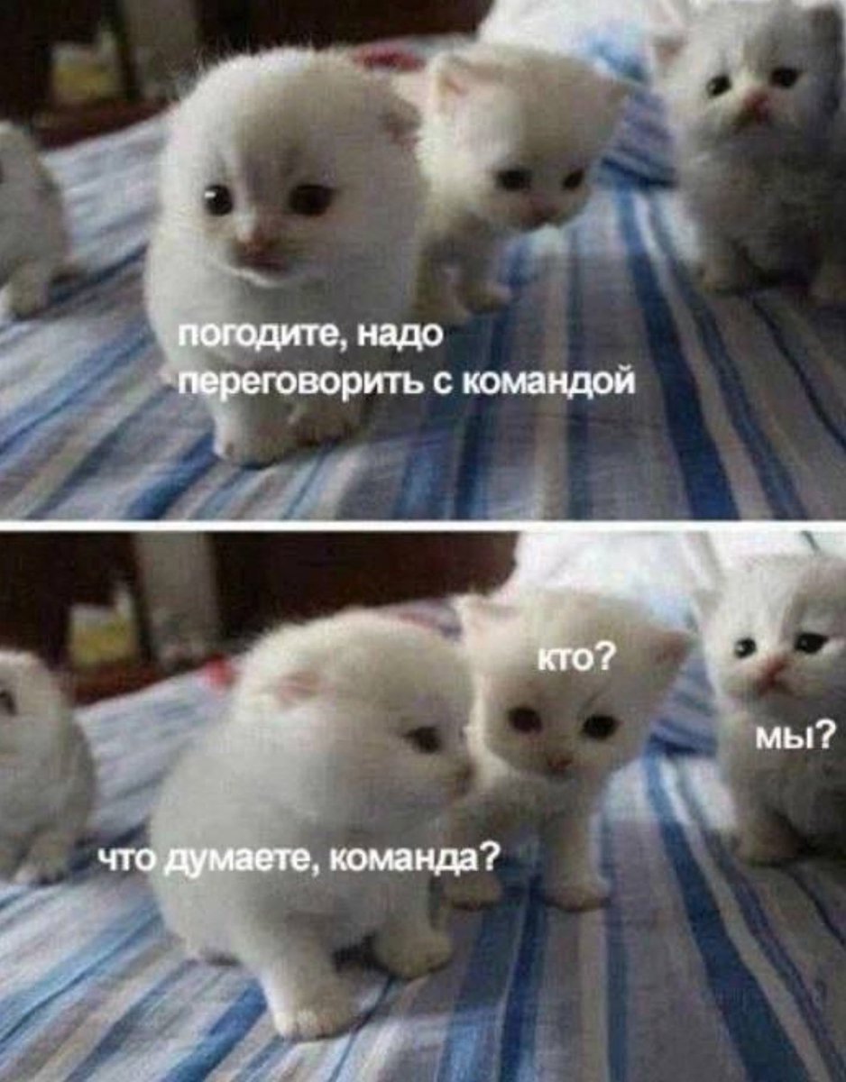 Дунк и его кореша на суде семерых