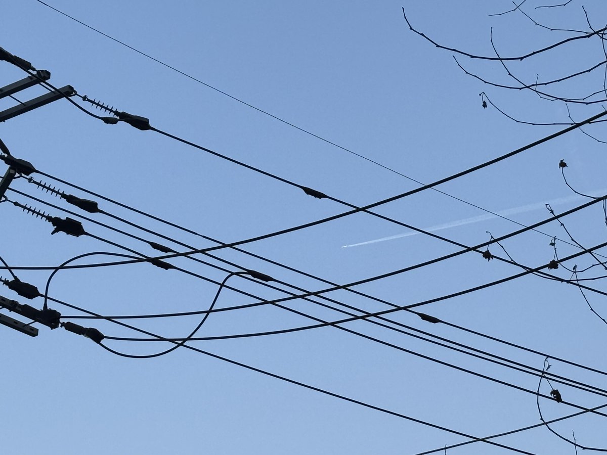 도마전도사⁂🍠, ☾π tweet media