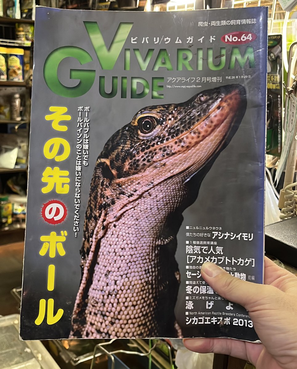 @eggrep2 tweet media