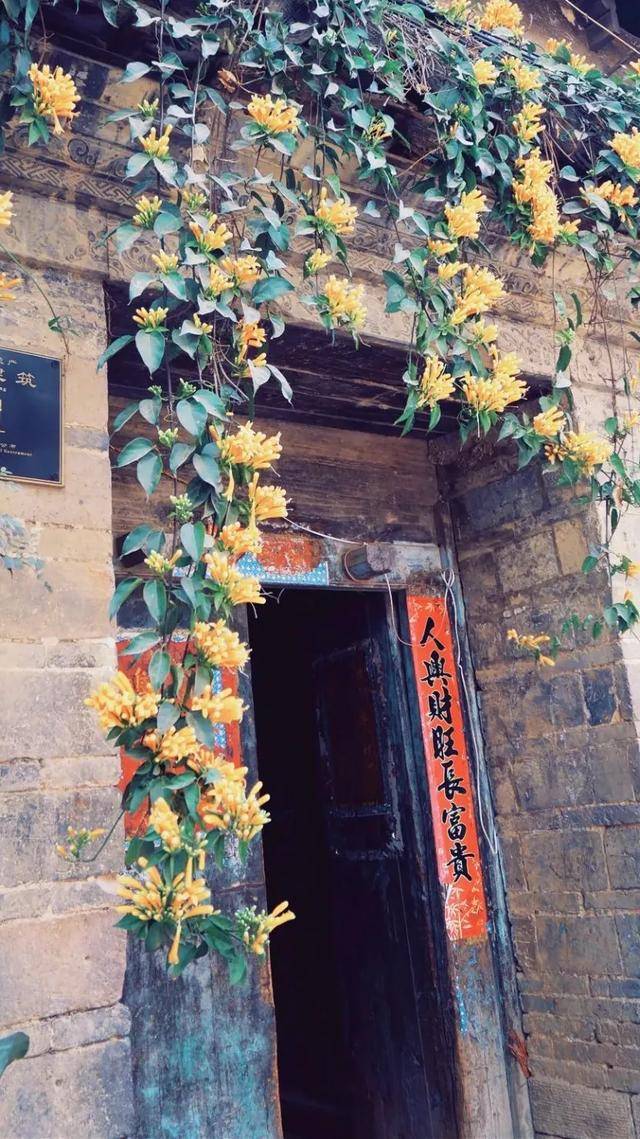 david tirado tweet media