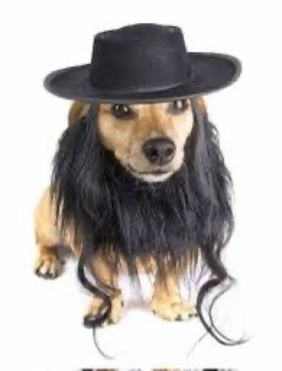 Ikii 🇲🇦/🇲🇶 tweet media